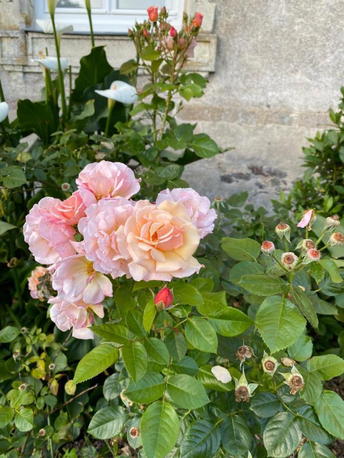 Chateau De St-Fulgent, Gite La Tour Saint-Fulgent エクステリア 写真